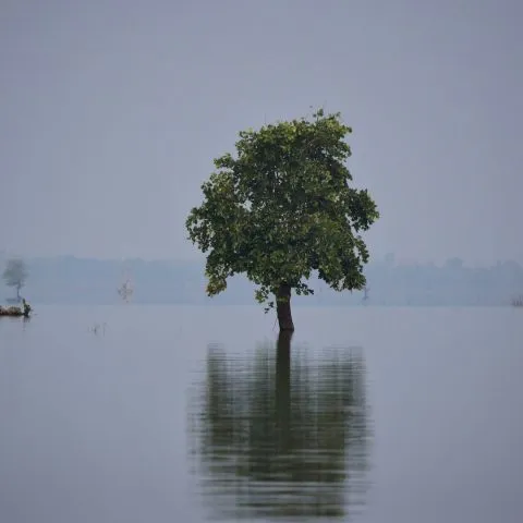 Unternehmen Unternehmen
